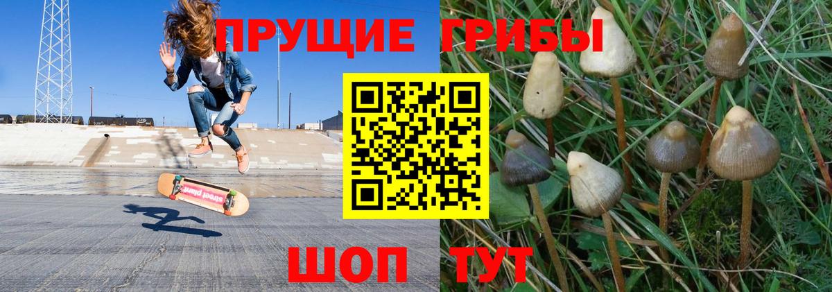 Галлюциногенные грибы прущие грибы Ирбит